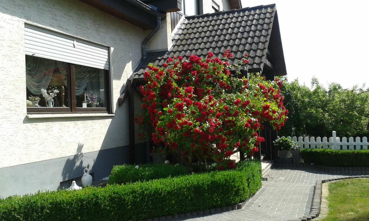 Ferienwohnung Raupe Fritzlar Exteriér fotografie