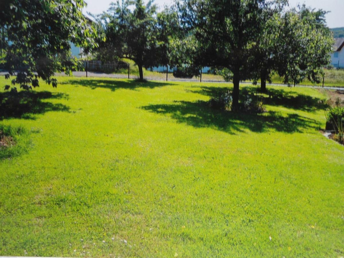 Ferienwohnung Raupe Fritzlar Exteriér fotografie